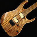 Ibanez RG421HPAM@Antique Brown Stained Low Gloss@S/NFI230509238 yYz ACoj[Y yyʌ́zyWiz