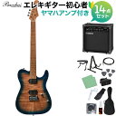 Bacchus TAC24 FMH-RSM/M N-BL-B エレキギター初心者14点セット 【ヤマハアンプ付き】 テレキャスタイプ ユニバースシリーズ バッカス 【初心者セット】