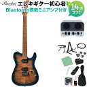 Bacchus TAC24 FMH-RSM/M N-BL-B エレキギター初心者14点セット 【Bluetooth搭載ミニアンプ付き】 テレキャスタイプ ユニバースシリーズ バッカス 【初心者セット】