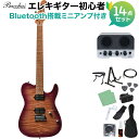 Bacchus TAC24 FMH-RSM/M N-MGT-B エレキギター初心者14点セット 【Bluetooth搭載ミニアンプ付き】 テレキャスタイプ ユニバースシリーズ バッカス