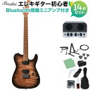 Bacchus TAC24 FMH-RSM/M N-BK-B エレキギター初心者14点セット 【Bluetooth搭載ミニアンプ付き】 テレキャスタイプ ユニバースシリーズ バッカス 【初心者セット】