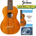 Famous FS-5G 【交換用Low-G弦付き】 ソプラノウクレレ ハワイアンコア 日本製 ハンドメイド フェイマス