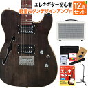 Greg Bennett STA-400SH TBK エレキギター初心者12点セット【軽量モダンデザインアンプ付き】 テレキャスタータイプ シンライン ホロウボディ グレッグベネット 【島村楽器限定モデル】