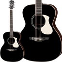 James J-500S BLK エレアコ アジャスタブルサドル搭載 簡単弦高調整 フォークタイプ アコースティックギター ジェームス 【レビューでギター曲集プ...