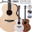 James J-300S アコースティックギター トップ単板 簡単弦高調整 細いネック ジェームス