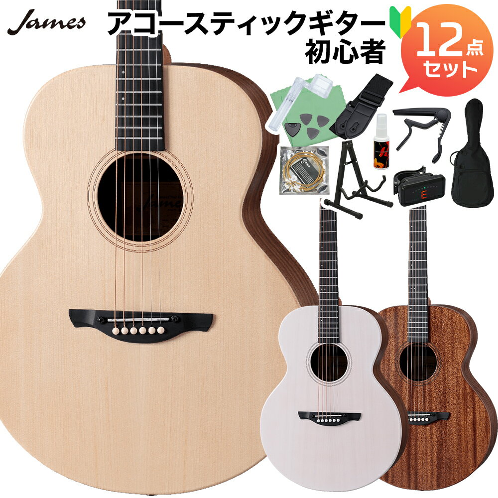 【レビューでギター曲集プレゼント】 James J-300S アコースティックギター初心者12点セット トップ単板 簡単弦高調整 細いネック ジェームス