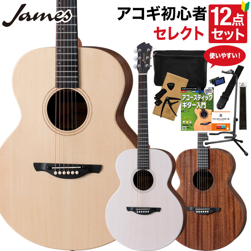 【レビューでギター曲集プレゼント】 James J-300S アコースティックギター 教本付きセレクト12点セット 初心者セット トップ単板 簡単弦高調整 細いネック ジェームス