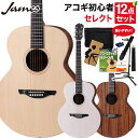 【レビューでギター曲集プレゼント】 James J-300S アコースティックギター 教本付きセレクト12点セット 初心者セッ…