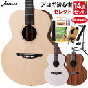 James J-300S アコースティックギター 教本・お手入れ用品付きセレクト14点セット 初心者セット トップ単板 簡単弦高調整 細いネック ジェームス
