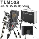 【湿度調整剤プレゼント】 NEUMANN TLM 103 mt mono set ボーカル・ナレーター録音セット ブラック コンデンサーマイク ノイマン TLM...