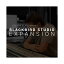 Steven Slate Audio Blackbird Studios Drums EXPANSION SSD5 ĥ ƥ󥹥졼ȥ [᡼Ǽ Բ]