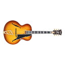 D'Angelico Excel Style B Dark Iced Tea Burst GLM^[ tARM^[ fBAWFR