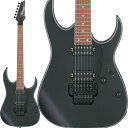 Ibanez RG420EX BKF GLM^[ S ACoj[Y Standard RG