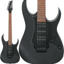 Ibanez RG450B WK エレキギター 初心者 アイバニーズ Standard RG(2)