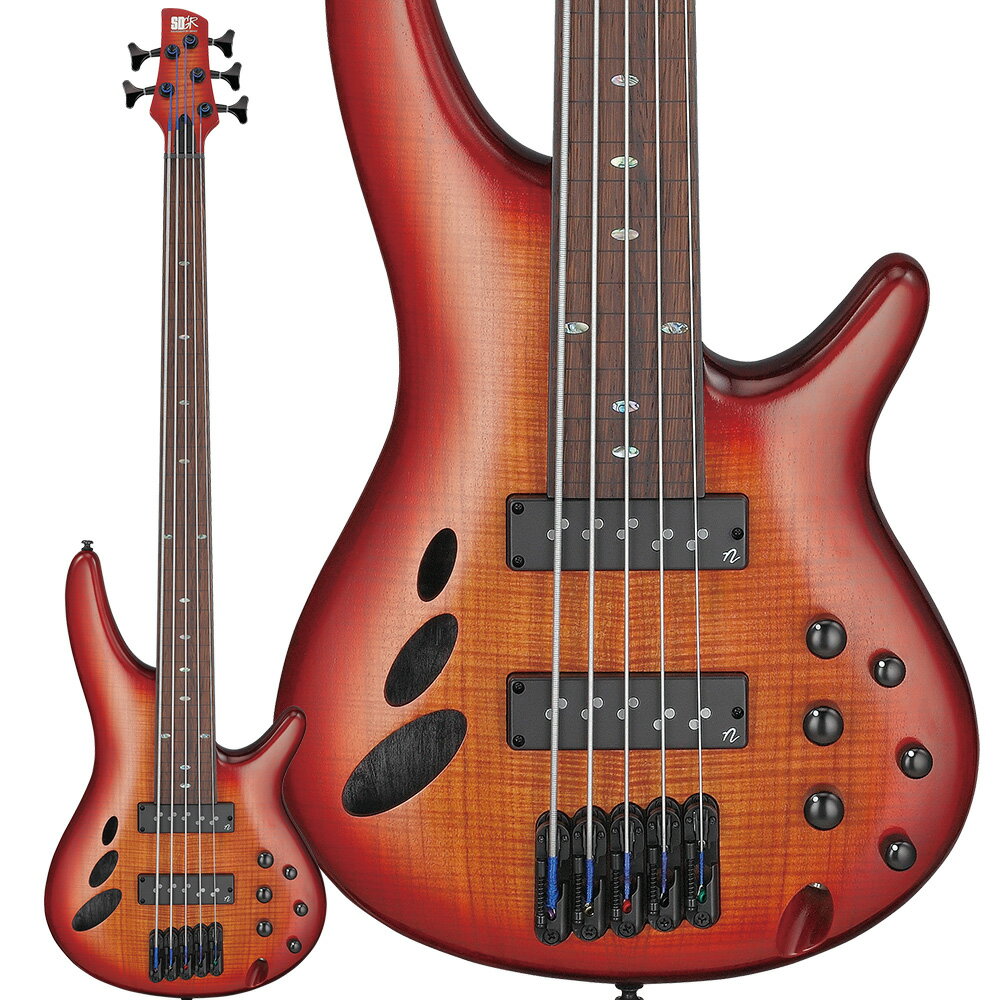 楽天市場】ibanez 5弦 フレットレスの通販 楽天市場】ibanez 5弦 フレットレスの通販