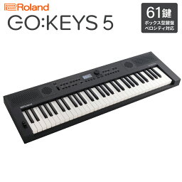 Roland GO:KEYS5 GT グラファイト ポータブルキーボード 61鍵盤 ローランド 【予約受付中：2024/04/26発売予定】