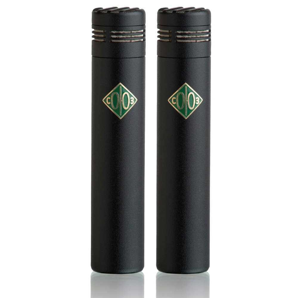 カスタムトランスを搭載したFETマイクロフォン【特徴】近年はペンシル型コンデンサーマイクもトランスレスが多くなりましたが、FETプリアンプを搭載した013 FETは、SOYUZがデザインしたオリジナルカスタム・トランスを搭載しています。また、FETプリアンプらしいトランジェントへの素早い追従と自然なサウンドを得ることが出来、演奏をありのままにキャプチャーします。カーディオイドカプセルは、別売オプションのハイパーカーディオイド、もしくはオムニカプセルに交換が可能。幅広いアプリケーションに対応します。【詳細情報】Capsule: 25mm周波数特性: 20Hz - 20kHz指向性: カーディオイド＋オプションでオムニ / ハイパーカーディオイドに交換可能 (別売)感度: 20 mV/PaSPL: 143 dB等価雑音レベル: 16dB (a-weighted)電源: 48Vファンタムサイズ: 122mm（長さ） x 25mm（直径） (カプセルヘッドは直径24mm)重量: 200g (マイク単体)付属品: -10dB Pad / マイクホルダー / 木製専用マイクケースJANコード：2370000340931