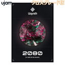 UJAM Usynth 2080 NXO[h [W [[[i s]