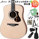 James J-300DII アコースティックギター初心者12点セット ドレッドノート 簡単弦高調整 トップ単板 ジェームス
