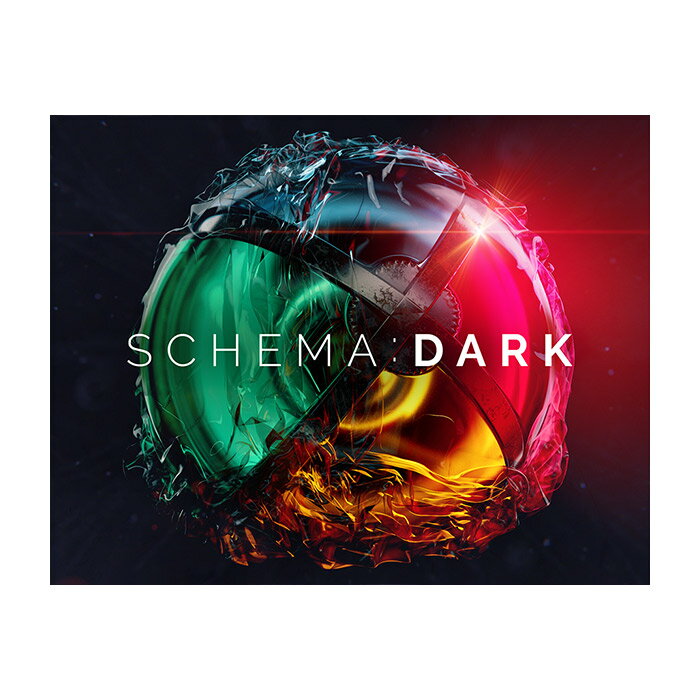 Native Instruments (NI) Schema - Dark ネイティブインストゥルメンツ [メール納品 代引き不可]
