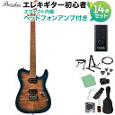 Bacchus TAC24 FMH-RSM/M N-BL-B エレキギター初心者14点セット 【ヘッドホンアンプ付き】 テレキャスタイプ ユニバースシリーズ バッカス