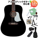 aNueNue D01 Black (ブラック) アコースティックギター初心者12点セット トップ単板 ドレッドノート アヌエヌエ Singer Guitars
