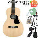 aNueNue P01 アコースティックギター初心者12点セット トップ単板 パーラー アヌエヌエ Singer Guitars
