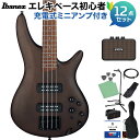 Ibanez SR300EB WNF ベース初心者12点セット 【充電式ミニアンプ付】 エレキベース Walnut Flat アイバニーズ