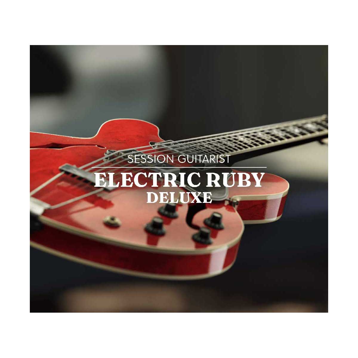 [特価 2025/12/07迄] Native Instruments (NI) Session Guitarist - Electric Ruby Deluxe ネイティブインストゥルメンツ [メール納品 代引き不可]