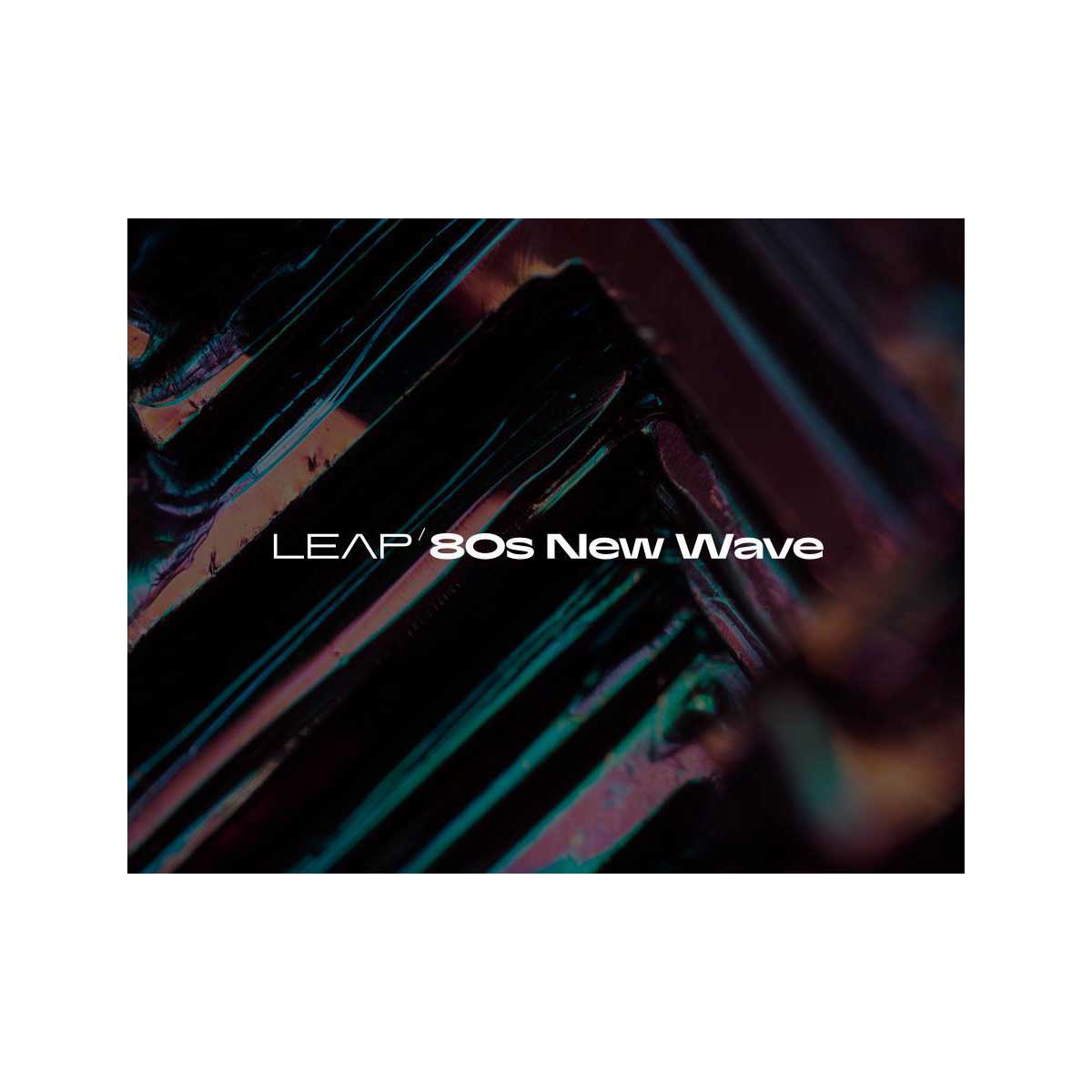Native Instruments (NI) Leap Expansion - 80s New Wave ネイティブインストゥルメンツ [メール納品 代引き不可]