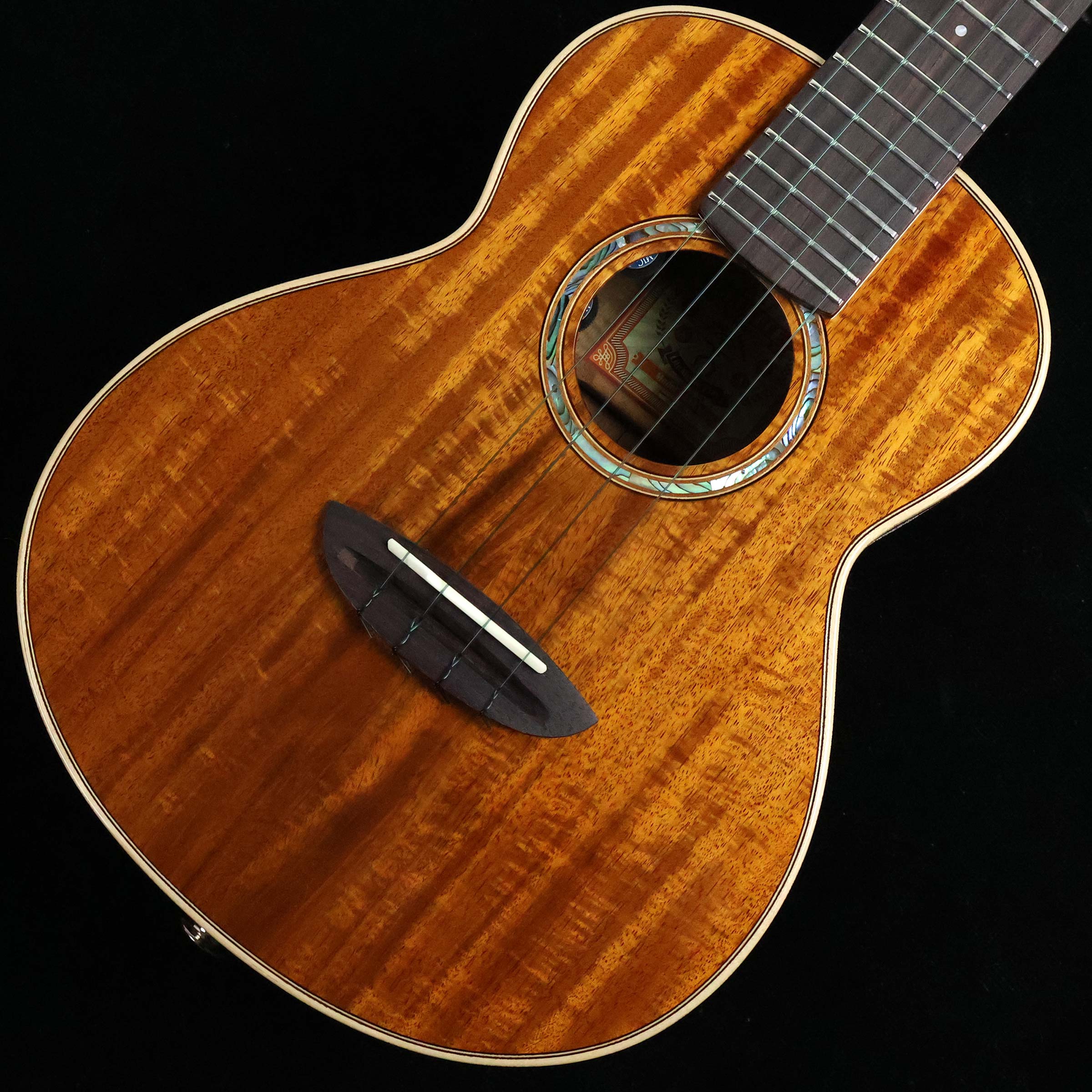 美品 aNueNue M2 アコースティックギター 中古 美品 aNueNue M2 アコースティックギター 中古 aNueNue Bird Guitar