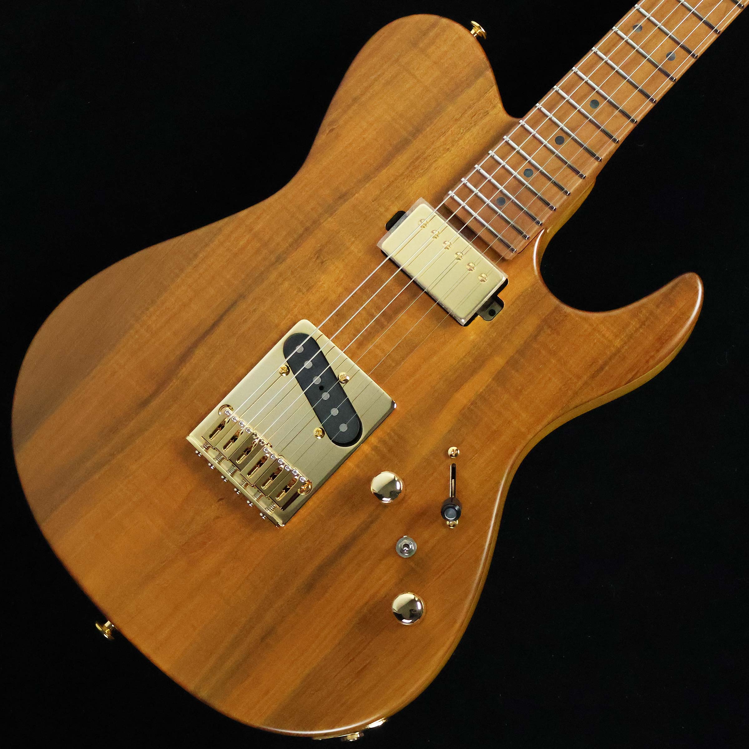 FUJIGEN EIL-EW2-HS-RM/VNT S/N：H250491 フジゲン 【選定個体】【未展示品】