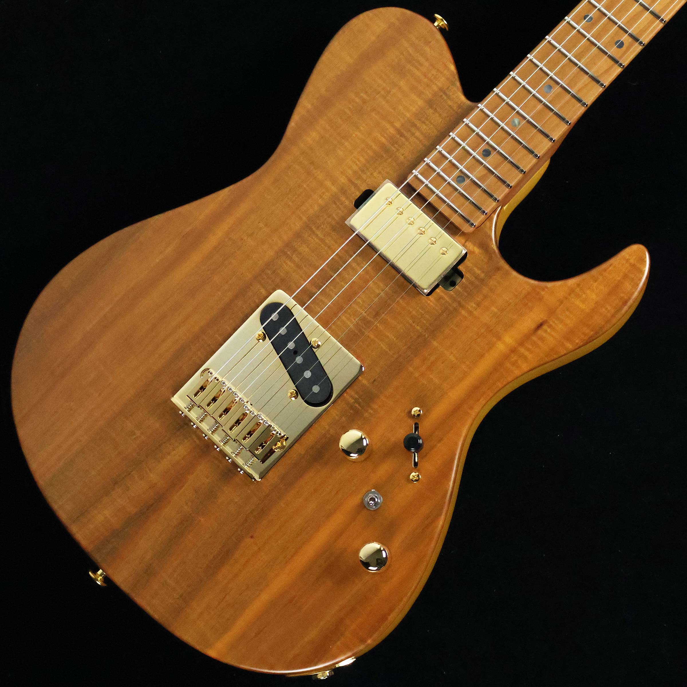 FUJIGEN EIL-EW2-HS-RM/VNT S/N：H250494 フジゲン 【選定個体】【未展示品】