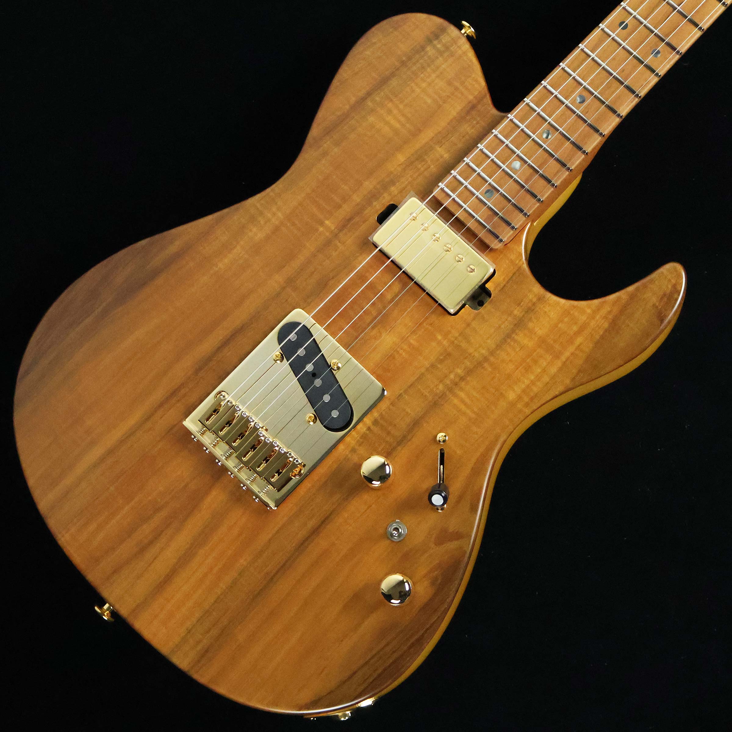 FUJIGEN EIL-EW2-HS-RM/VNT S/N：H250497 フジゲン 【選定個体】【未展示品】