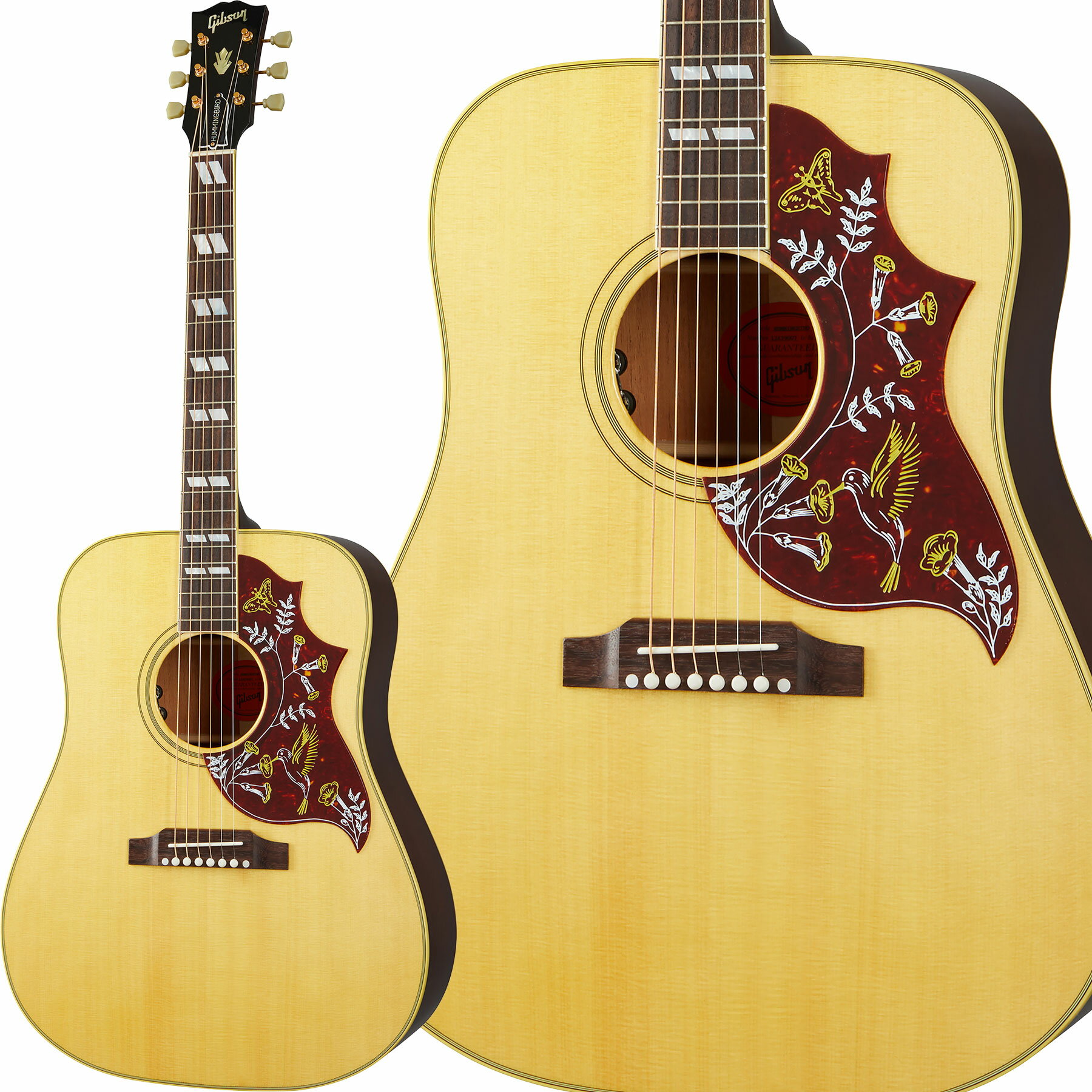 楽天市場】hummingbird gibson acousticの通販