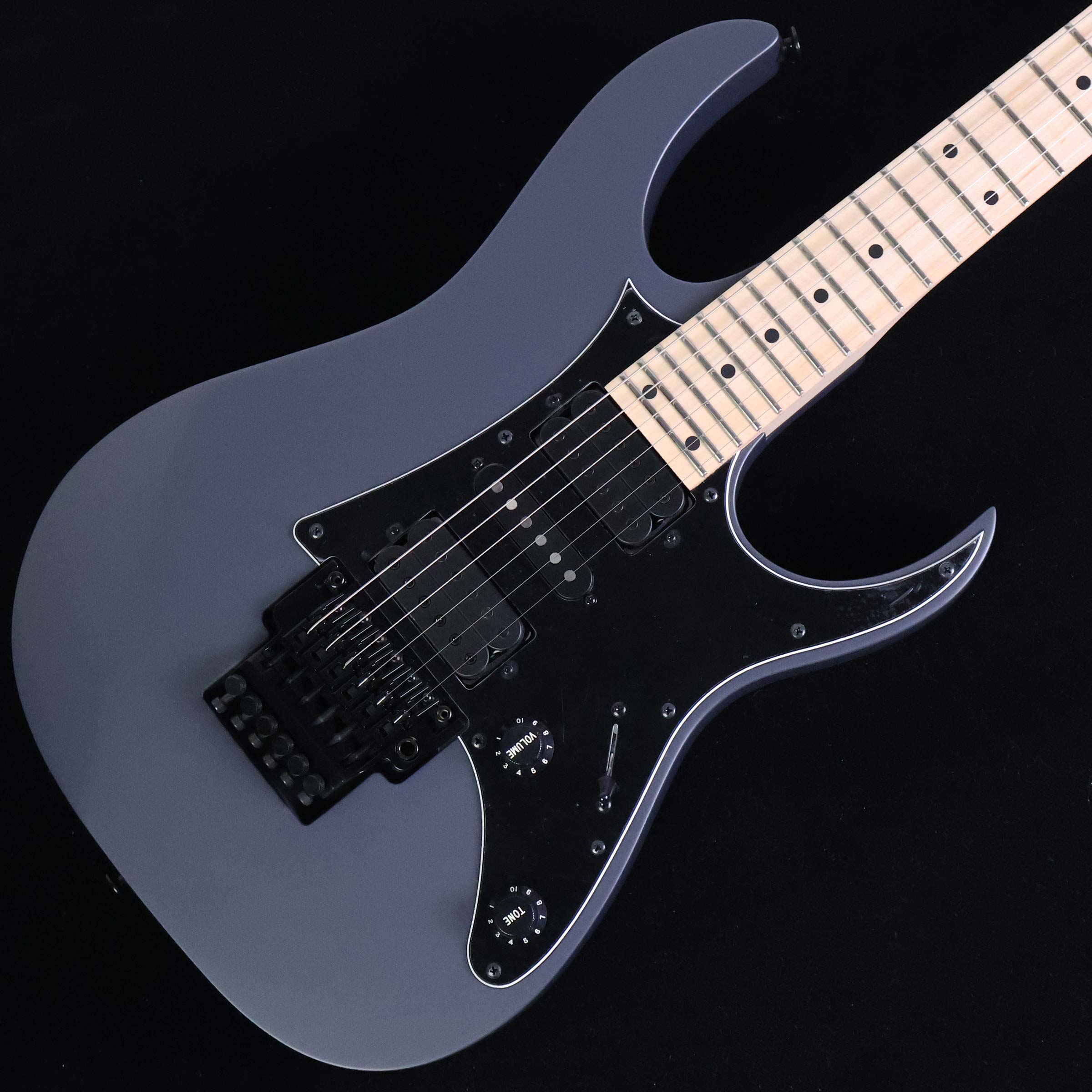 楽天市場】フジゲン ibanez rgの通販