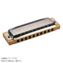 HOHNER Blues Harp MS 532/20/X A調 ダイアトニックハーモニカ 10穴 ブルースハープ ホーナー