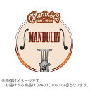 Martin 80/20ブロンズ 010-034 スタンダード M400 マーチン フラットマンドリン弦