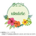 Martin クリアフロロカーボン 0220-0251 テナー M620 マーチン ウクレレ弦
