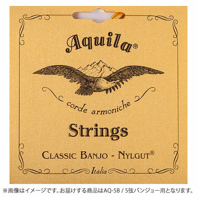 Aquila 5B Nylgut String 5弦バンジョー用 ミディアムゲージ AQ-5B アキーラ バンジョー弦