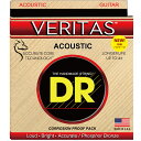 DR VERITAS VTA-12/56 Bluegrass 012-056 アコースティックギター フォスファーブロンズ弦【ディーアール ヴェリタス】 ディーアール