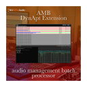 NUGEN Audio AMB DynApt Module j[WFEI[fBI [[[i s]