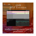 NUGEN Audio AMB MXF Module j[WFEI[fBI [[[i s]