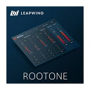 LEAPWING AUDIO ROOTONE [vEBOEI[fB A9675[[[i s]