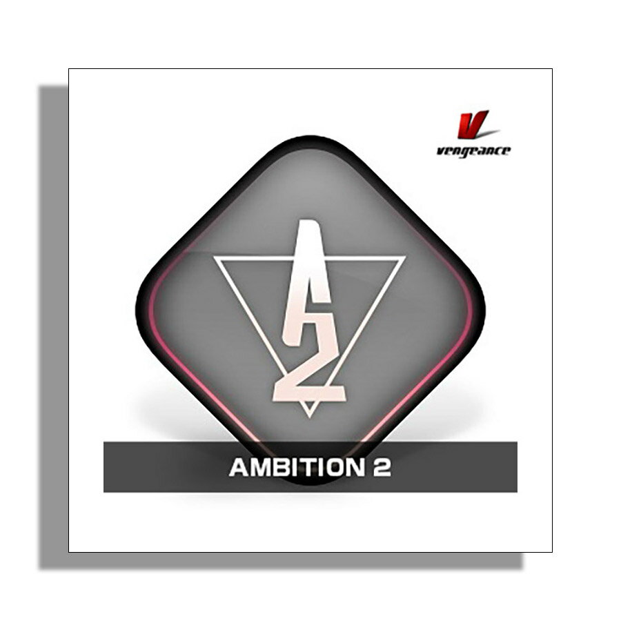 VENGEANCE SOUND AMBITION 2 ベンジェンス・サウンド B1793[メール納品 代引き不可]