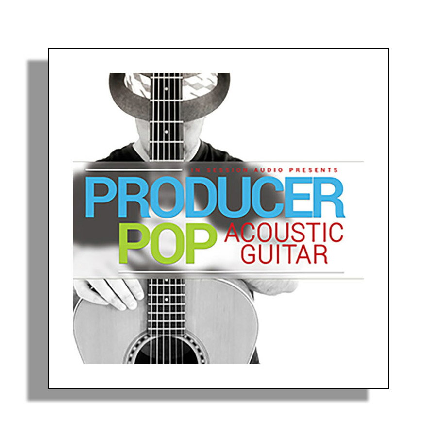 IN SESSION AUDIO PRODUCER POP ACOUSTIC GUITAR イン・セッション・オーディオ A2800[メール納品 代引き不可]