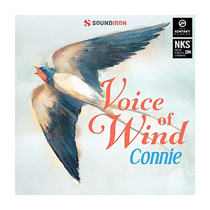 [特価 2025/11/29迄] SOUNDIRON VOICE OF WIND: CONNIE サウンドアイアン [メール納品 代引き不可]