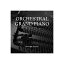 SPITFIRE AUDIO ORCHESTRAL GRAND PIANO ԥåȥեǥ 98637 [᡼Ǽ Բ]