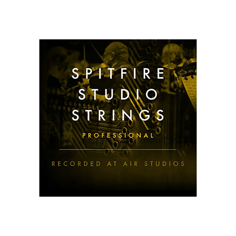 SPITFIRE AUDIO SPITFIRE STUDIO STRINGS PROFESSIONAL スピットファイアオーディオ A6072 [メール納品 代引き不可]