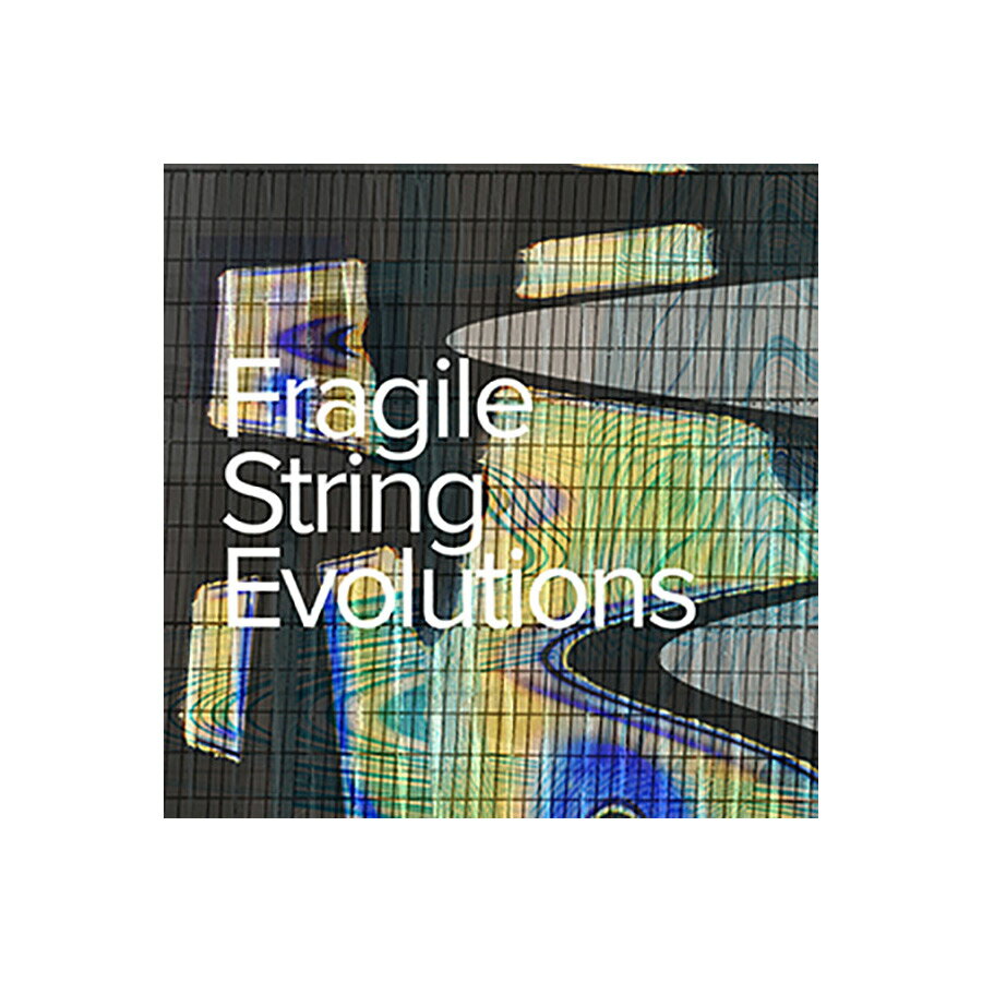 SPITFIRE AUDIO FRAGILE STRING EVOLUTIONS スピットファイアオーディオ A7261 [メール納品 代引き不可]